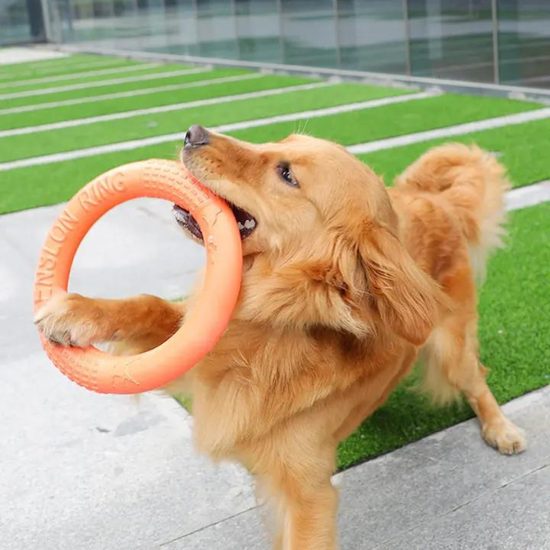 Reedog tréningový kruh pre psy oranžová