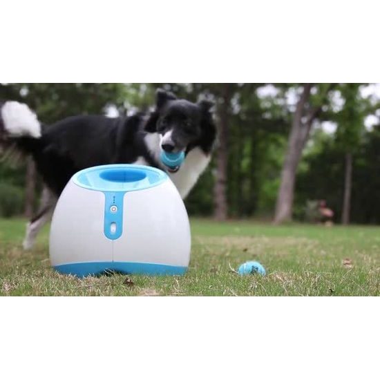 Lanzador automático de pelotas iFetch Too