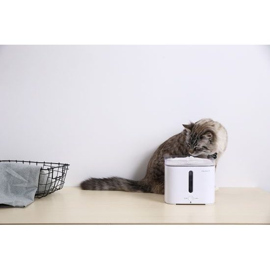 Petkit Eversweet 2 Wasserspender