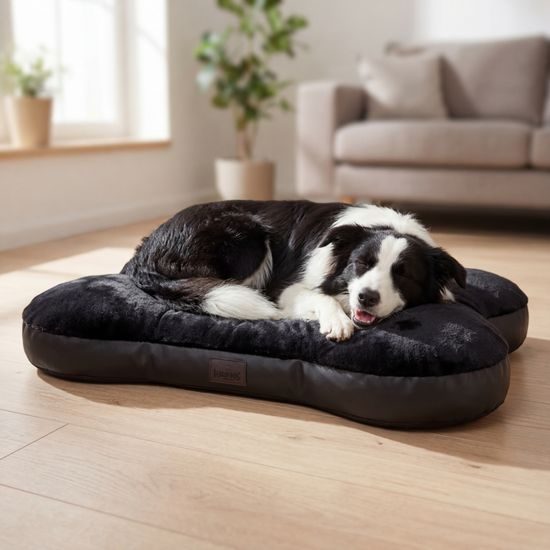 Reedog Podložka Kost black