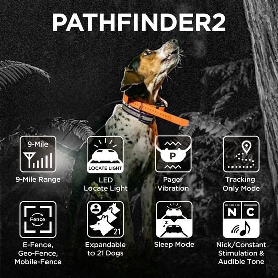 Dogtra Pathfinder 2 - GPS és kiképző nyakörv