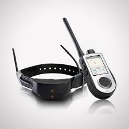 GPS a výcvik psa v jednom SportDog TEK 1.0 Tracking & Training