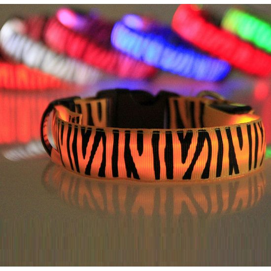 Reedog świecąca obroża  dla malych, średnich i dużych psów zebra