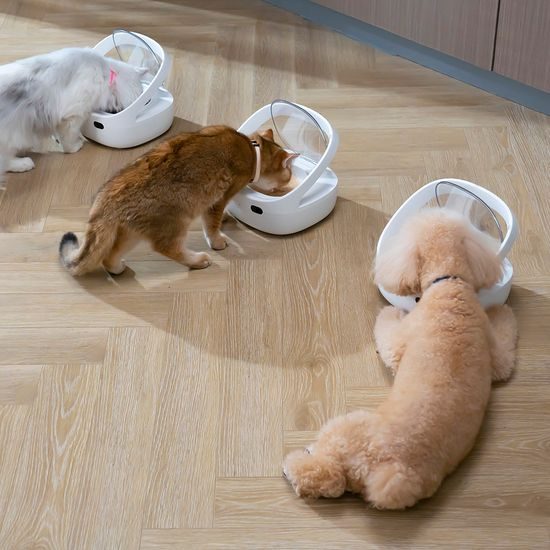 Petoneer NutriCare Feeder