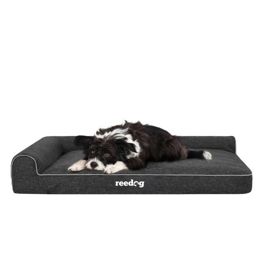 Cama para perro Reedog Best Ekolen Negra