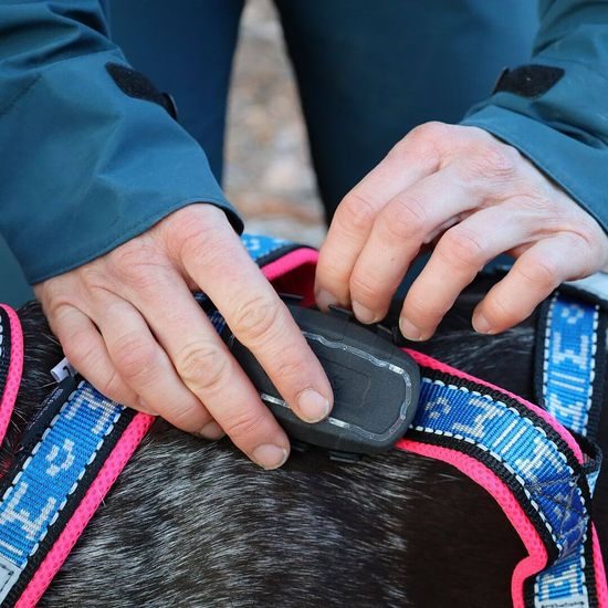 Dogtrace Tracker pro psy DOG GPS ultra