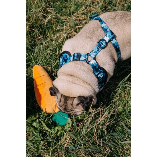 Geschirr Reedog CAMO
