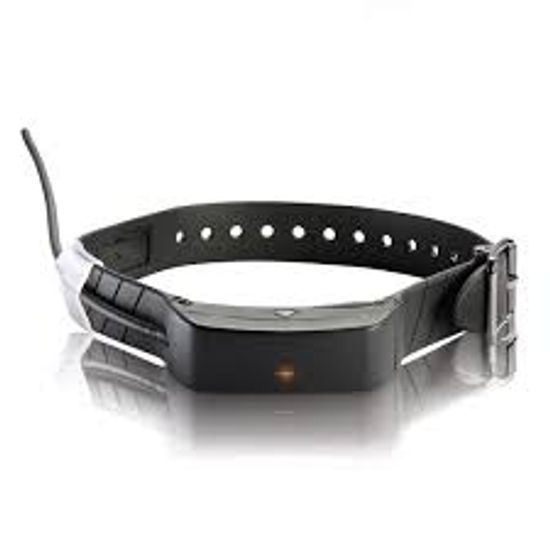 GPS a výcvik psa v jednom SportDog TEK 1.0 Tracking & Training