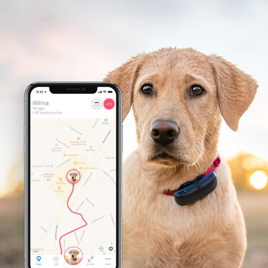 KOMIS - Tractive GPS Tracker i monitor aktywności dla psów