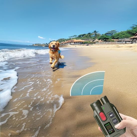 Reedog RS11