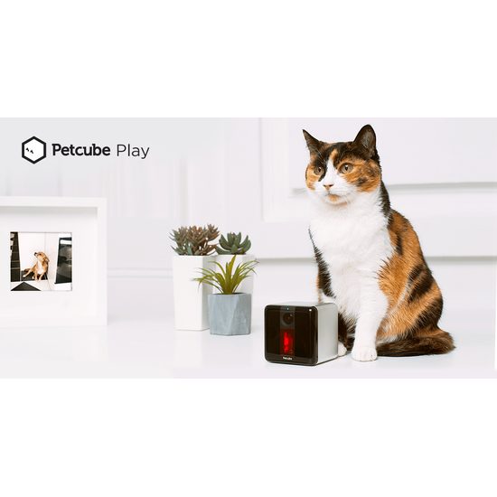 PetCube Play smart kamera pre psy a mačky