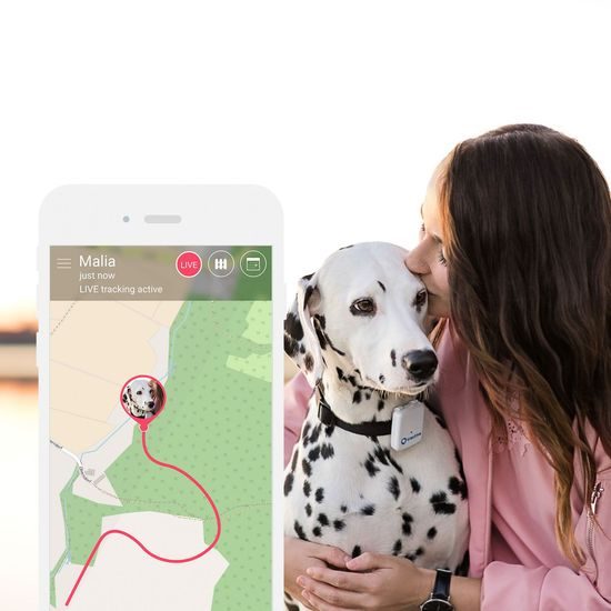 Tractive GPS Tracker für Hunde und Katzen