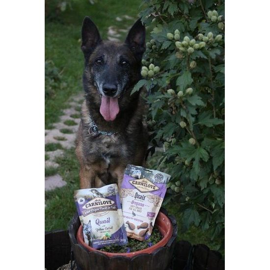 Carnilove Dog Pouch Paté Quail with Yellow Carrot 300 g