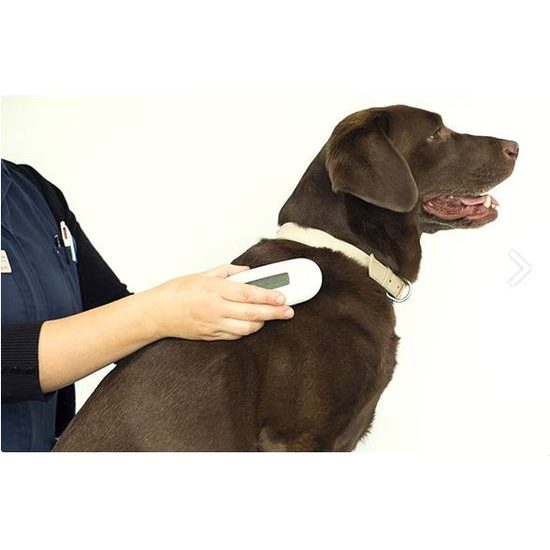 Lector de chip SureSense II para perros y otros animales de compañía