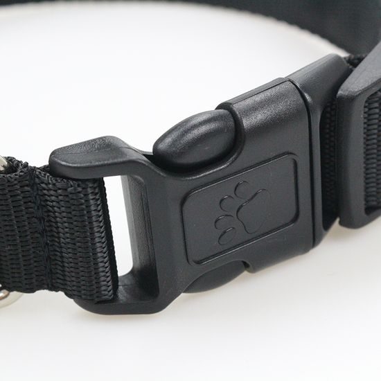 Collar luminoso USB Reedog para perros pequeños, medianos y grandes