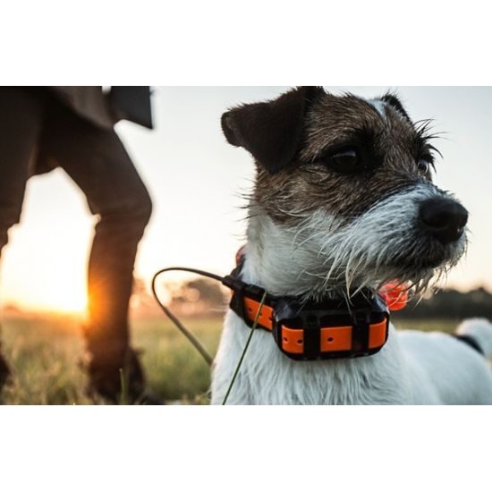 Garmin Alpha 100 + T5 Mini + EU Mapy