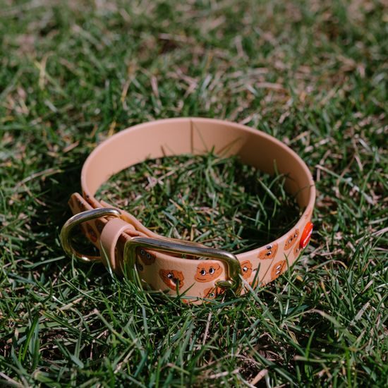 Reedog Gassi-Set Häufchen aus Biothane: HALSBAND + LEINE