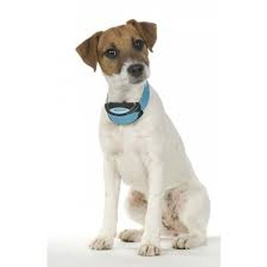 Obojok proti štekaniu Iki Voice