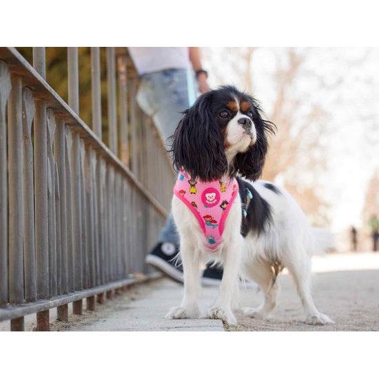 Reversible Dog Harness PRINCESS