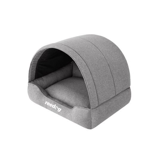 Reedog Kukaň Prompter Inari Gray