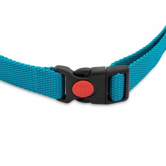 Dogtrace d-control 200 mini