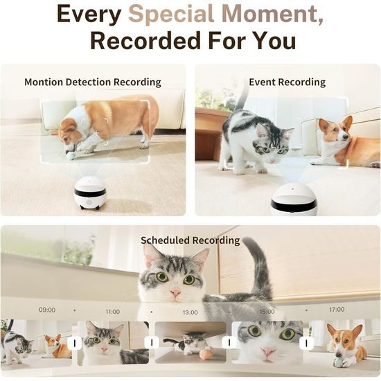 Enabot ROLA Mini Move