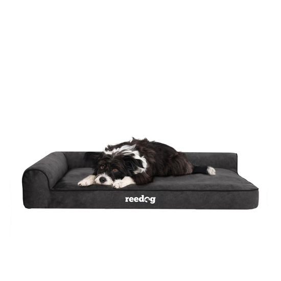 Reedog Bed Best Dora Black