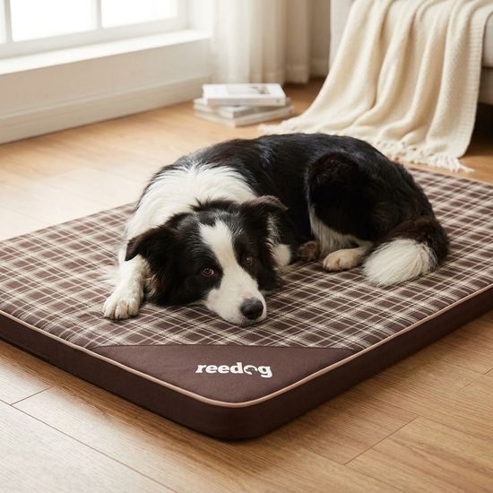 Reedog Podložka Thin Brown Strips