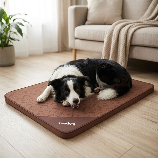 Reedog Podložka Thin Brown Bone