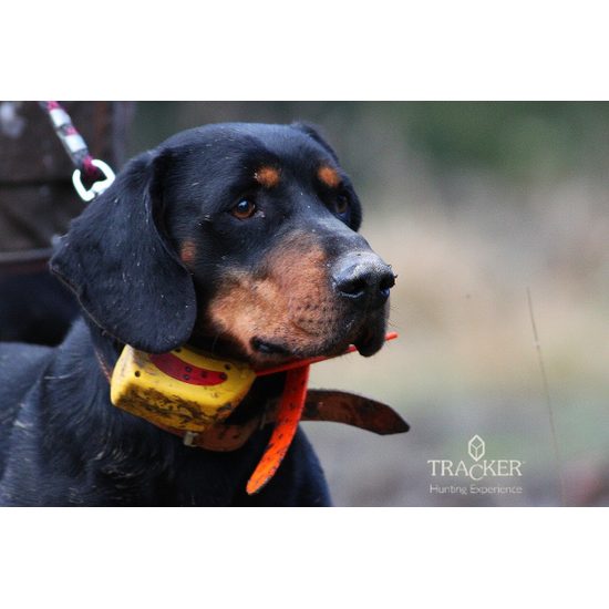 Sledovací obojek Tracker G400FI