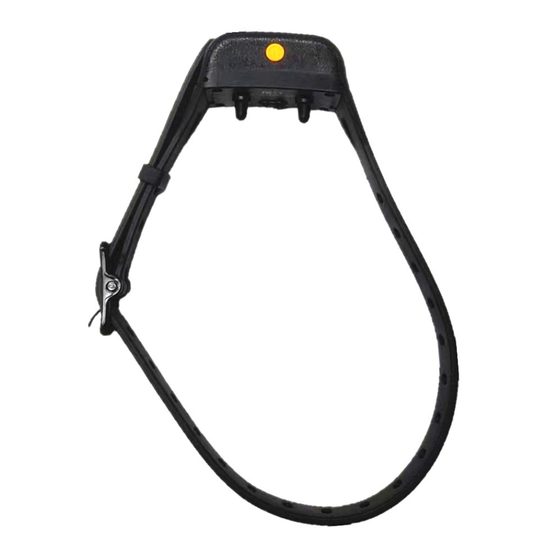 Halsband und Empfänger Patpet T680
