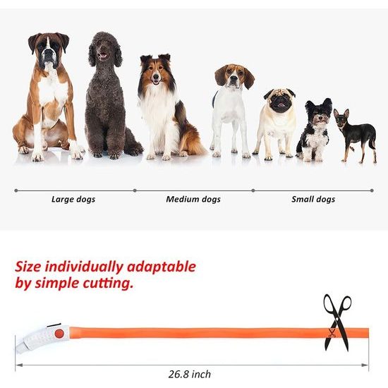 Reedog LED szilikon világító nyakörv kutyáknak