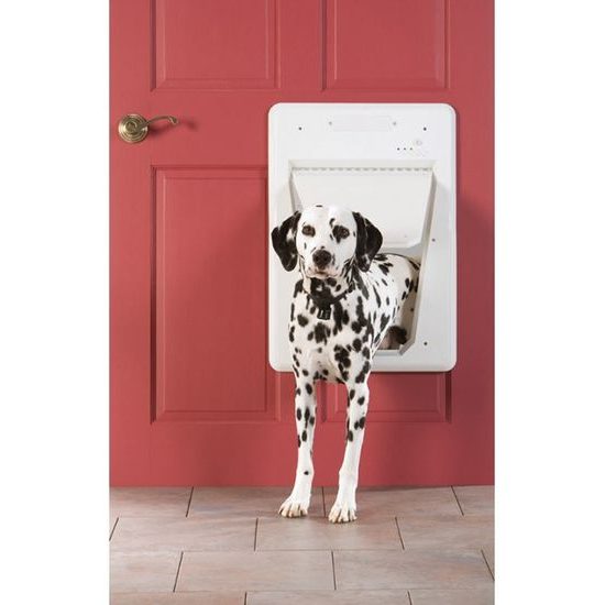 Puerta electrónica para perros PetSafe SmartDoor