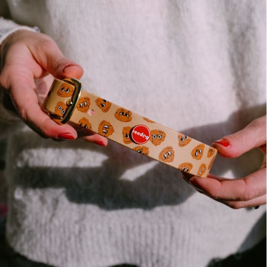 Reedog Gassi-Set Häufchen aus Biothane: HALSBAND + LEINE