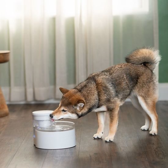 PetSafe® Outlast™