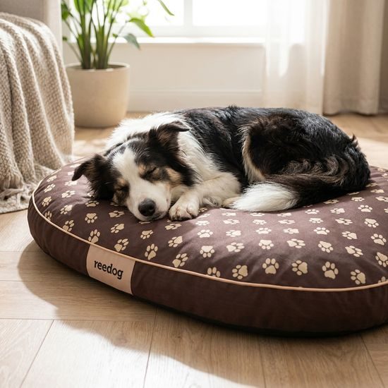 Reedog Matrace Round Brown Paw