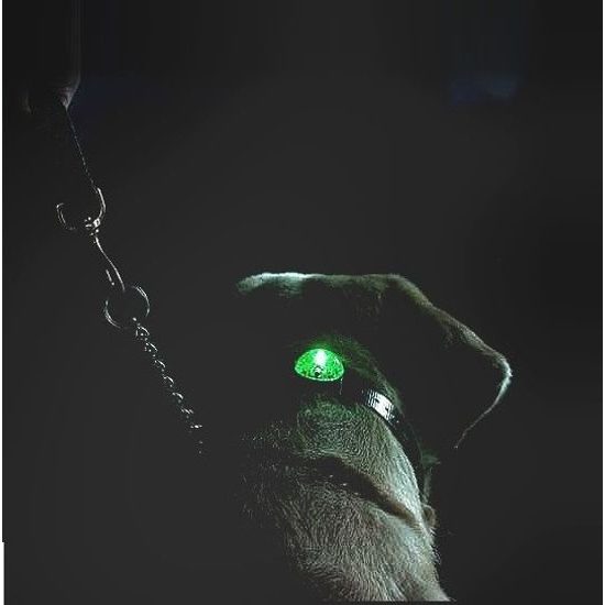 Świecąca zawieszka SportDog Locator Beacon