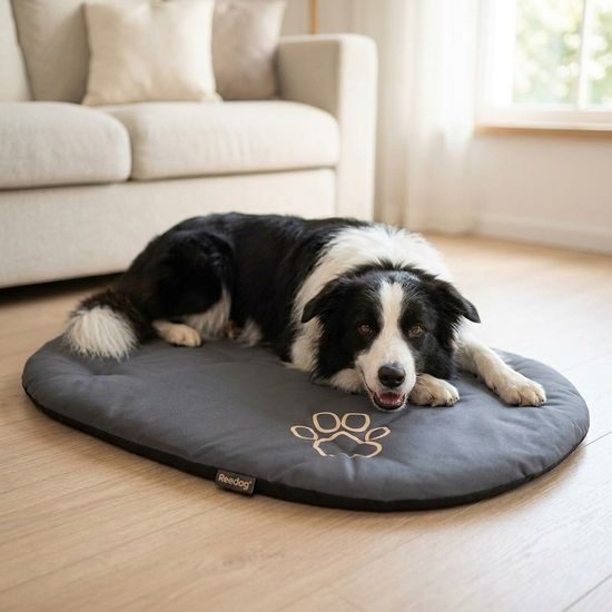 Reedog Podložka Grey