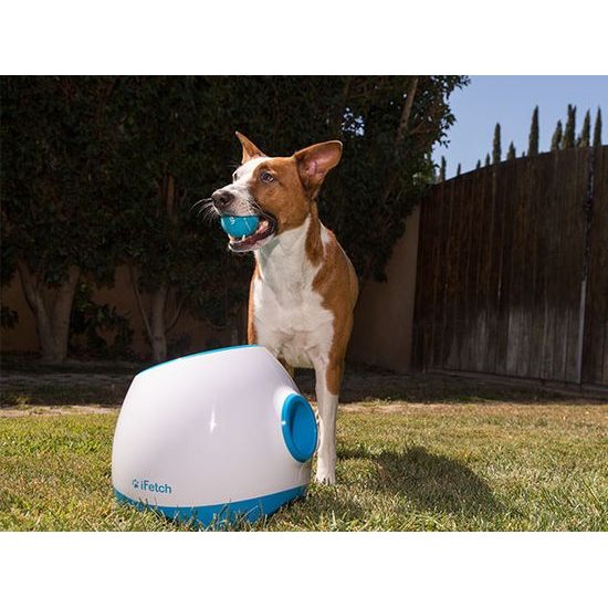 USED - iFetch Too Ball Launcher for Dogs