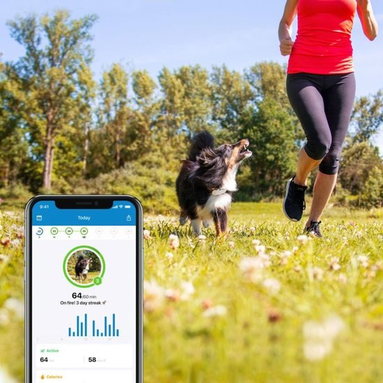 USED - Tractive GPS DOG 4 – GPS Tracker for Dogs