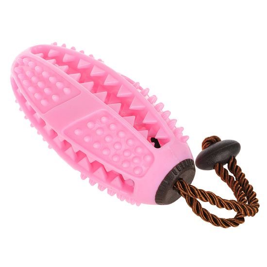 Reedog dental ball