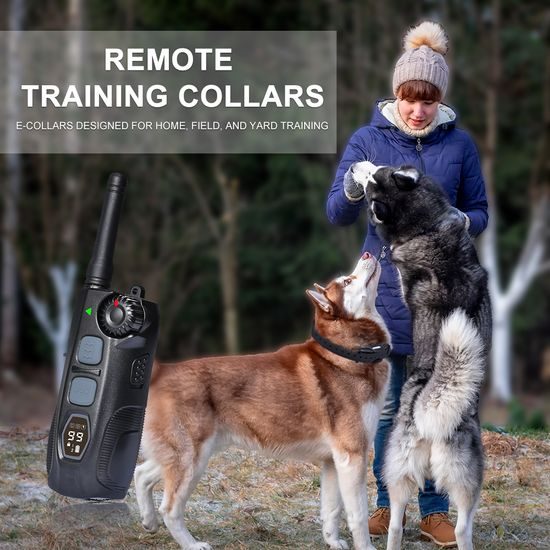 Double shock collars for dogs deals
