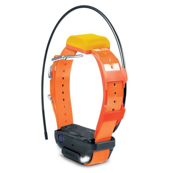 Dogtra Pathfinder 2 Mini collar y receptor