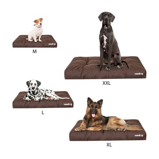 Reedog Grand Light Brown Matrac pre psa