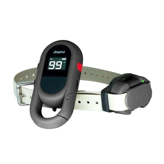 Dogtra IQ Flex