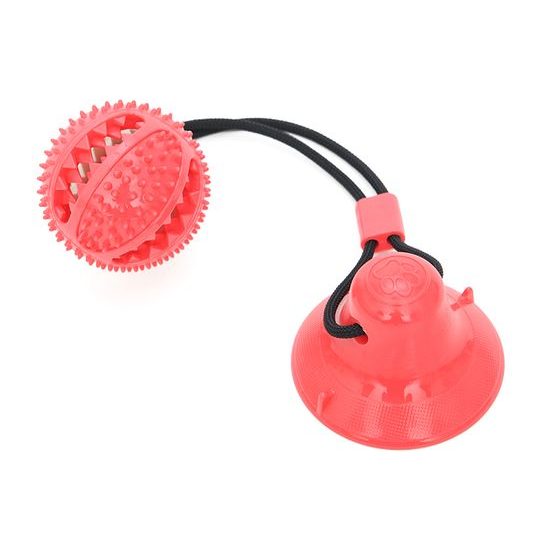 Reedog Pet Molar red