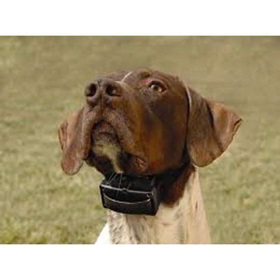 Protištěkací obojek SportDog NoBark 18 Deluxe