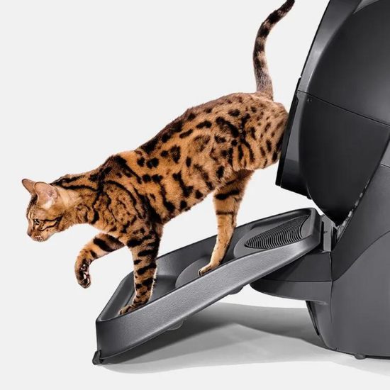 Přístupové schůdky s rampou Litter Robot III Connect gray