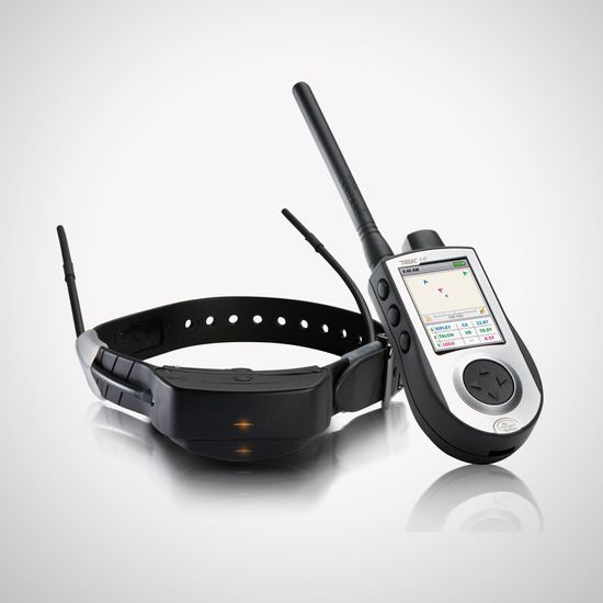 GPS a výcvik psa v jednom SportDog TEK 1.0 Tracking & Training