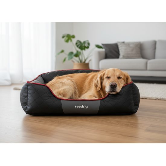 Reedog Pelíšek Black & Grey Sofa